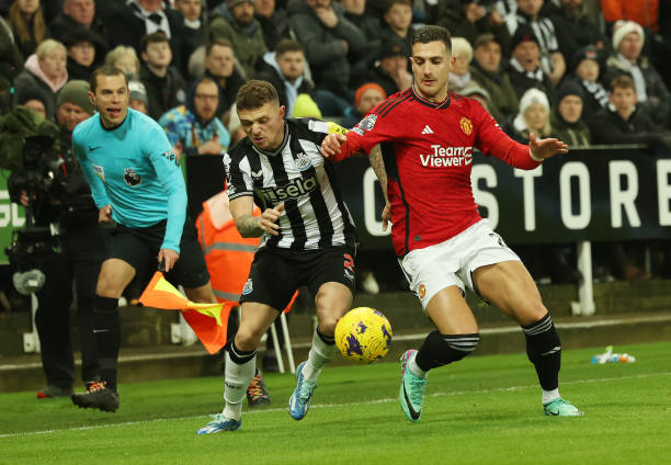 爬椰子树的 爬椰子树的